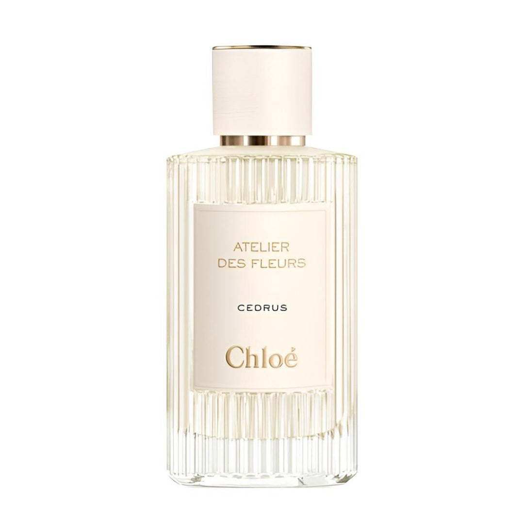 Magnolia Alba Chloé (50ml)